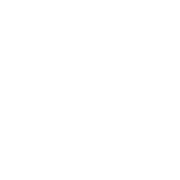 Root Investigations NYC Logo