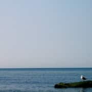 North Fork Long Island Sound